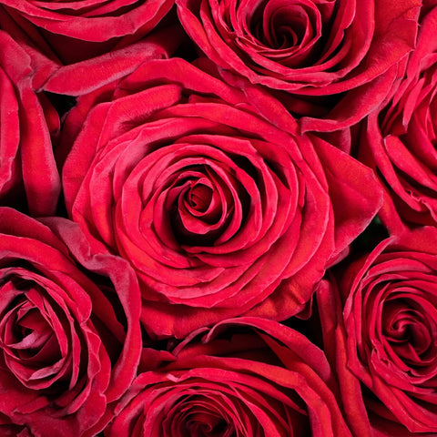 Farm Fresh Spiral Rose Bouquet