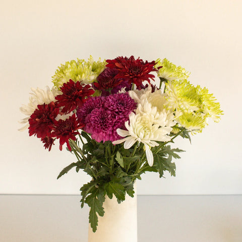 Farm Mix Cushion Bulk Flower Stem - Image