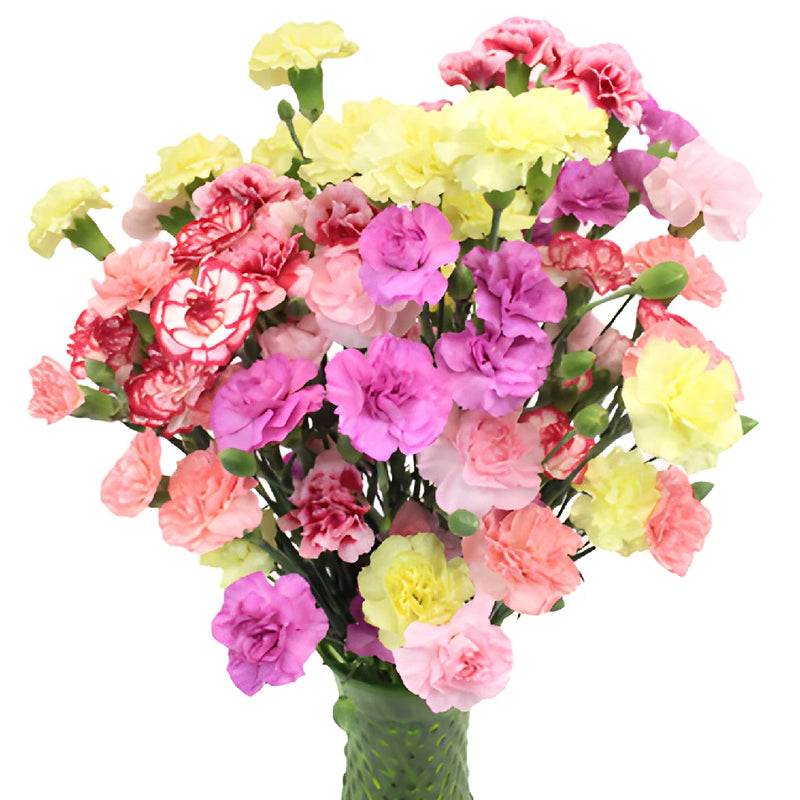 Farm Mix Mini Carnation Flowers In a vase