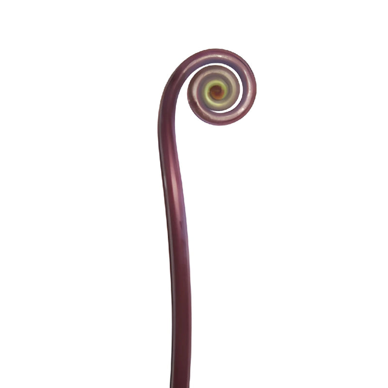 Fiddlehead Fern Filler Greenery