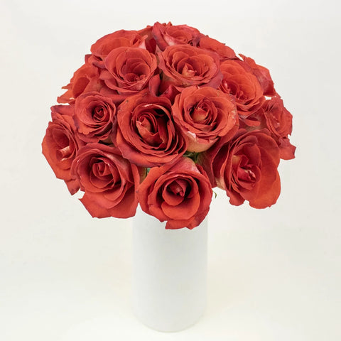Mosaico Red Wholesale Roses In a Vase