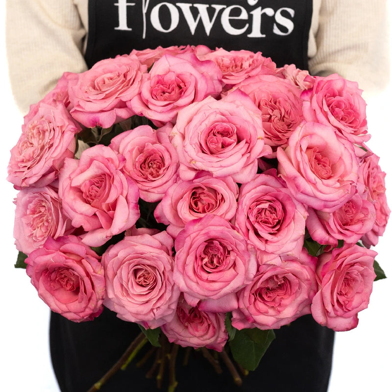 Flamingo Pink Garden Rose Apron - Image