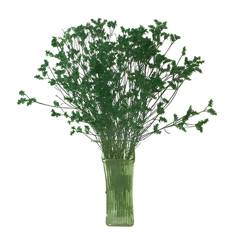 Forest Green Airbrushed Limonium Flowers