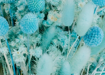 Aqua Blue Dried Flower Pack Close Up - Image