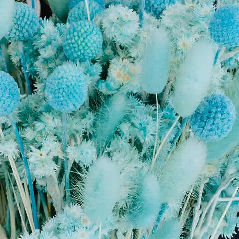 Aqua Blue Dried Flower Pack Close Up - Image