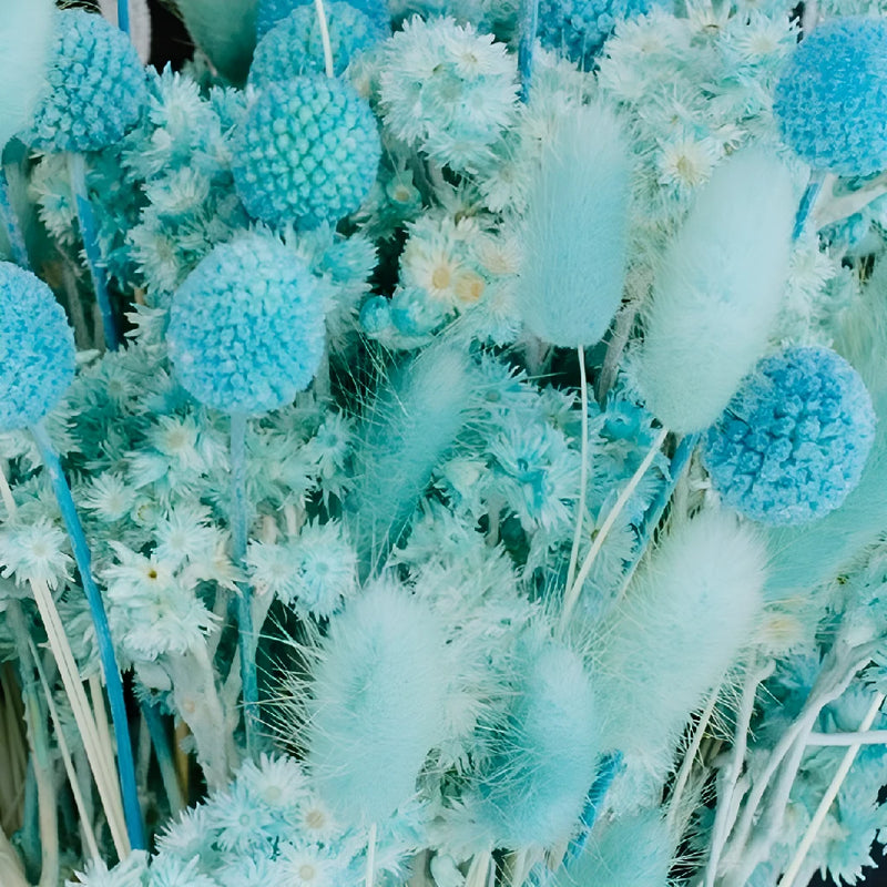 Aqua Blue Dried Flower Pack Close Up - Image