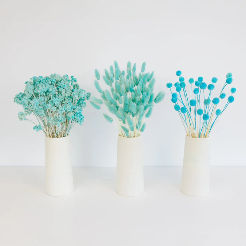 Aqua Blue Dried Flower Pack Stem - Image