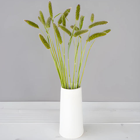 Bulk greens fresh cut foxtail millet grass filler flowers bunch designed