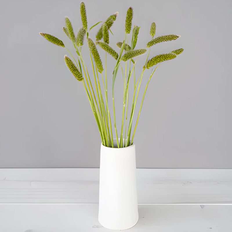 Bulk greens fresh cut foxtail millet grass filler flowers bunch designed