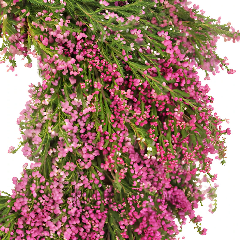 Fresh Heather Wreaths