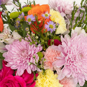 DIY Flower Kits Colorful Kits Card