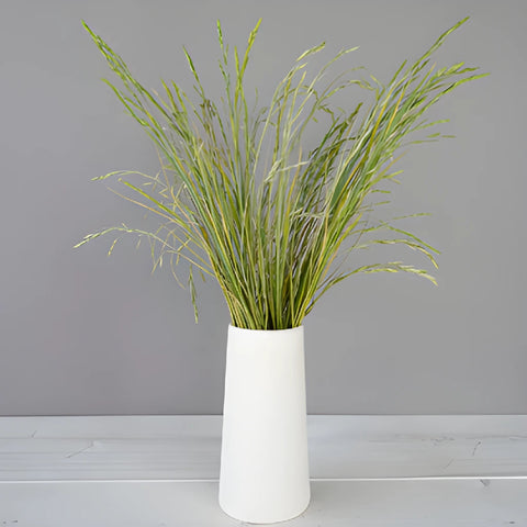 Bulk greenery fresh cut shaker grass filler flowers designed