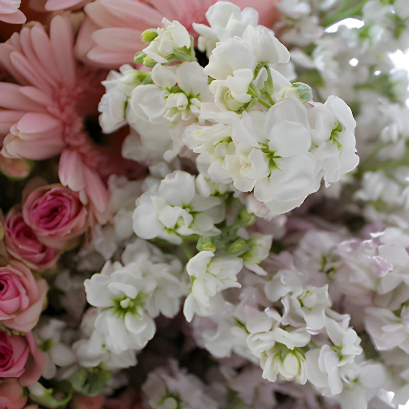 Garden Delights Light Pink Stock DIY Flower Kit Up Close