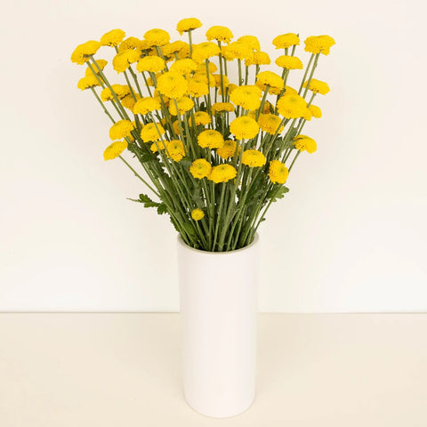 Goal Mini Button Pom Yellow Flower Vase - Image