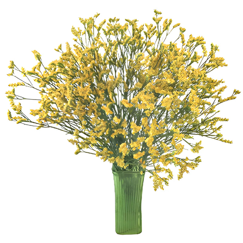 Golden Yellow Airbrushed Limonium Flowers