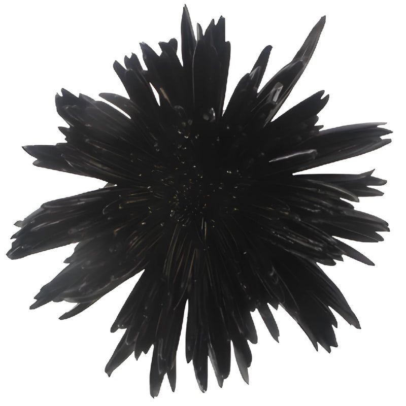 Gothic Black Airbrushed Spider Mum Flowers
