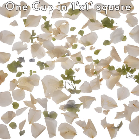 Green and Cream Irish Dried Rose Petals