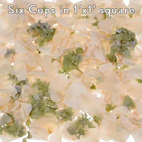 Green and Cream Irish Dried Rose Petals