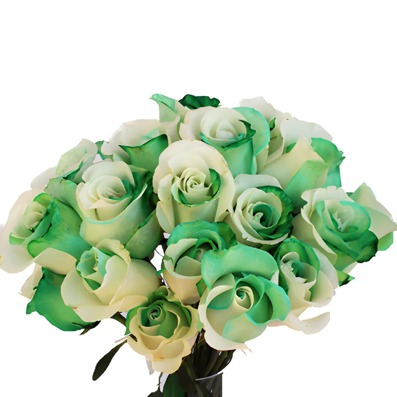 Green and White Rainbow Tinted Roses