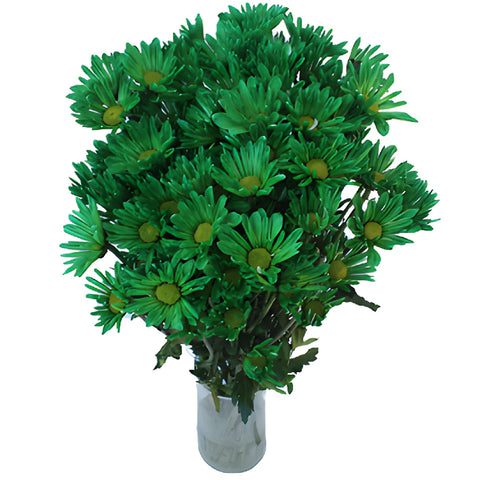 Green Bulk Daisy Flower Tinted