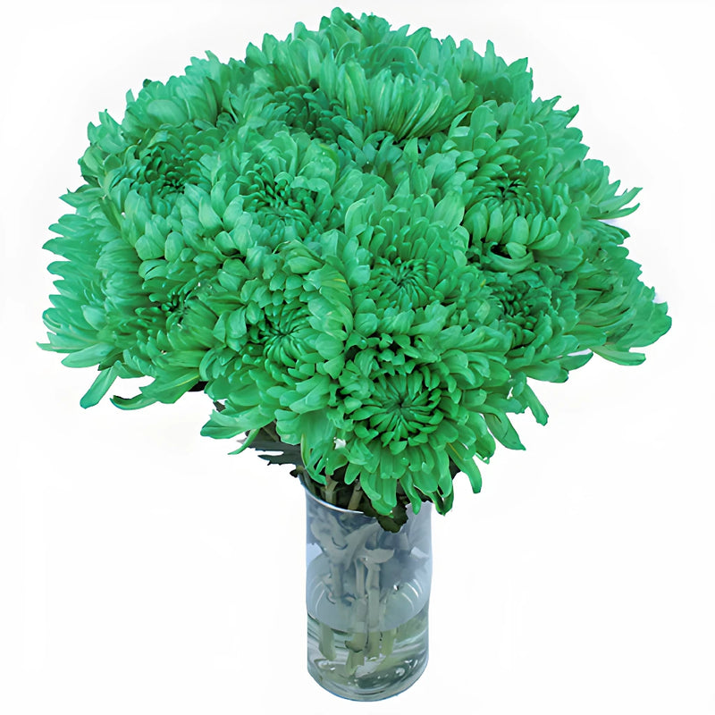 Green Tinted Cremon Bulk Flowers