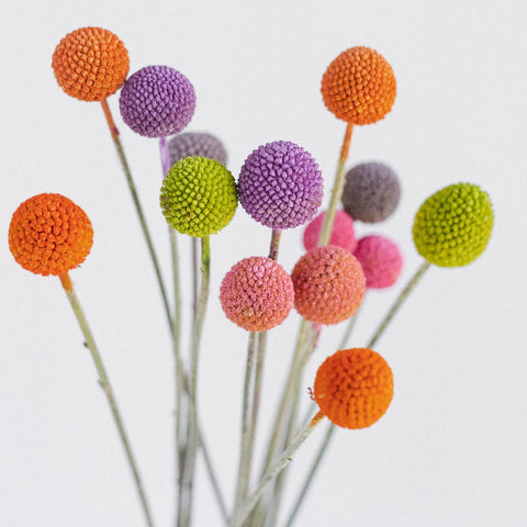 Airbrushed Billy Balls Assorted Colors Vase - Image