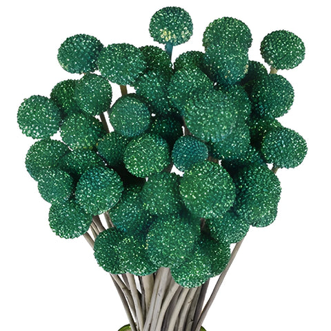 Green Glitter Tinted Craspedia Billy Balls