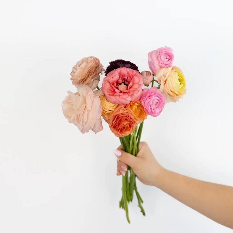 Assorted Colors Ranunculus Fresh Cut Flower Stem - Image