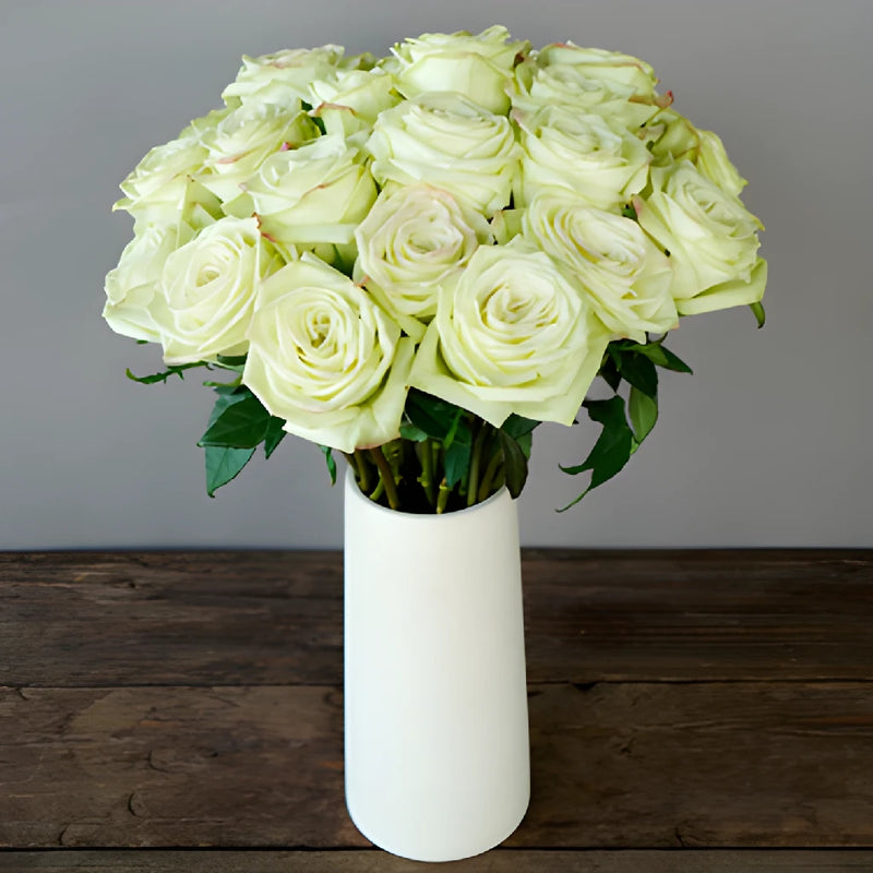 Green Valentines Day Rose Special