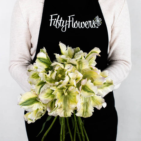 Green Wave Parrot Tulip Apron - Image