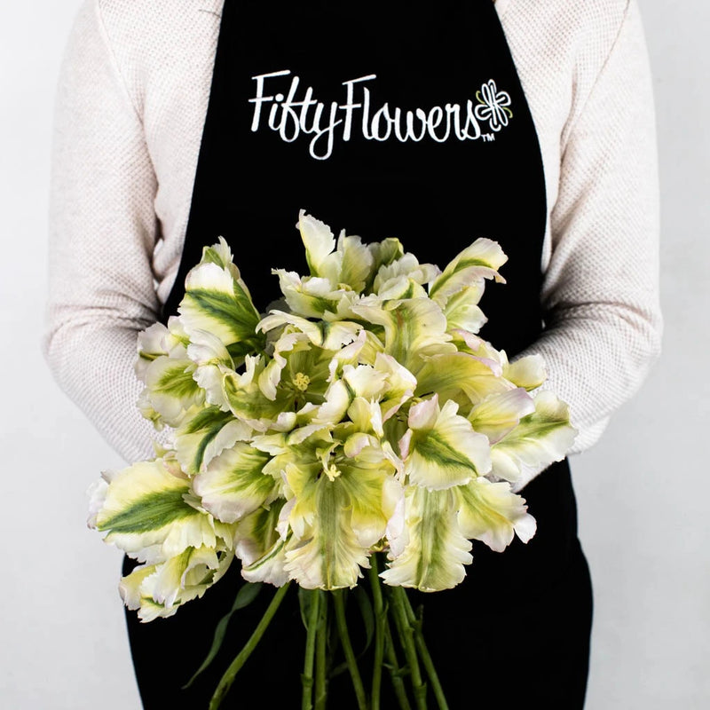 Green Wave Parrot Tulip Apron - Image