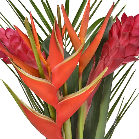 Havana Breeze Flower Centerpieces
