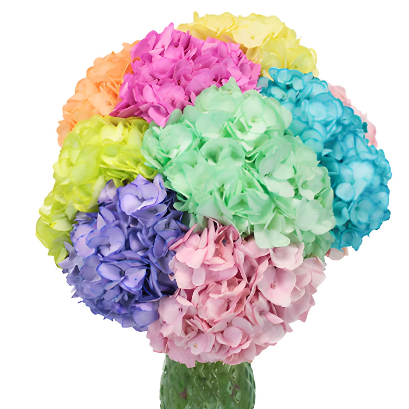Assorted Enhanced Hydrangea Wholesale Wedding Flower in a Vase