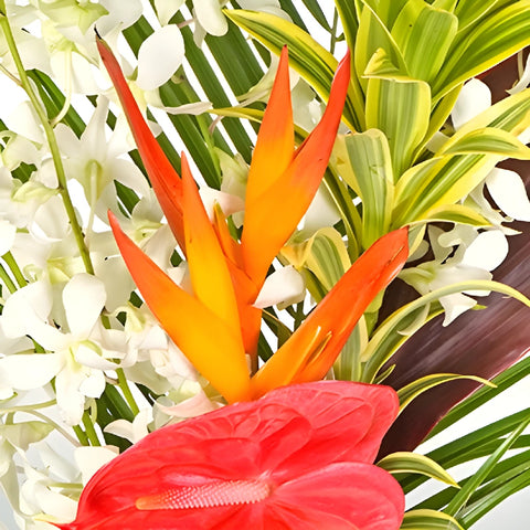 Honolulu Heat Tropical Centerpiece