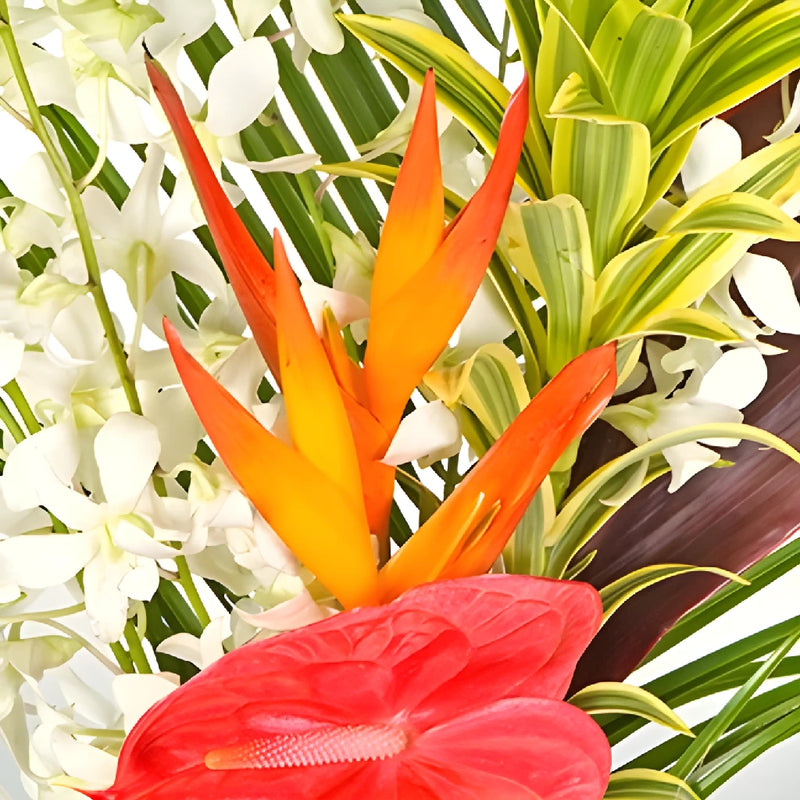 Honolulu Heat Tropical Centerpiece