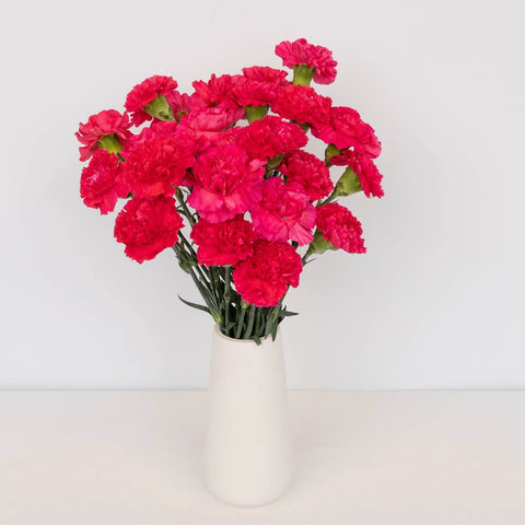 Hot Pink Carnation Flowers Vase - Image