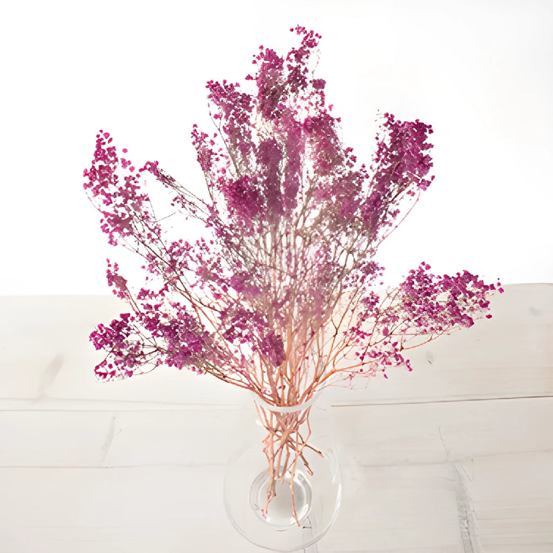 Hot Pink Dried Baby's Breath Flower