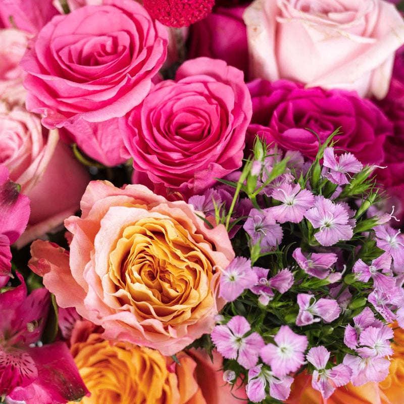 Hot Popping Pink Wedding Diy Combo Close Up - Image