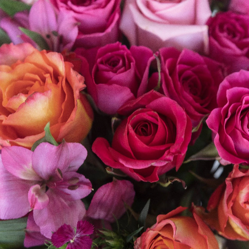 Hot Popping Pink Flower Bouquet Close Up - Image