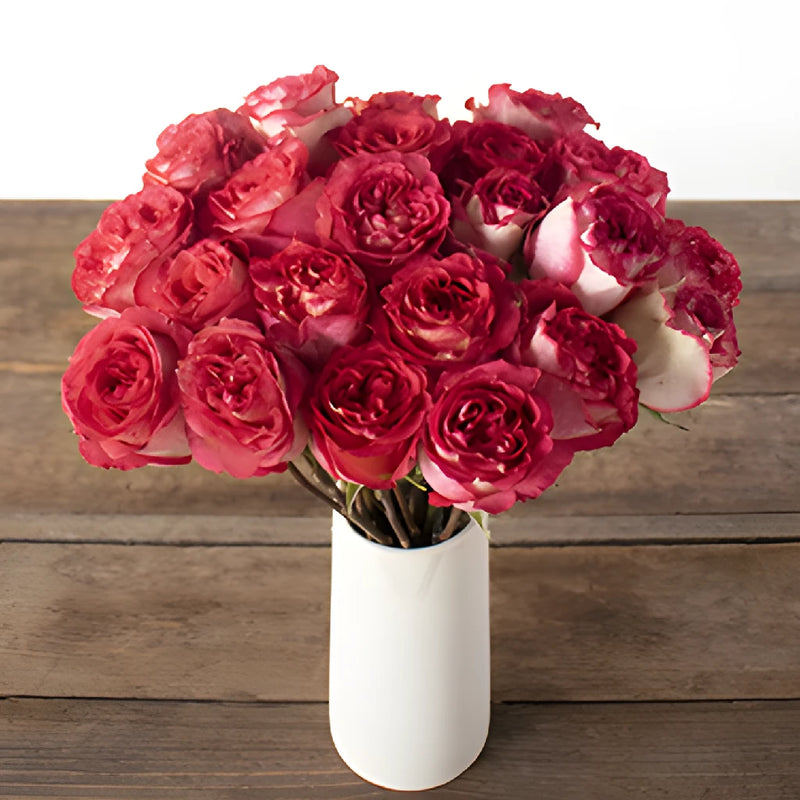 Iguazu Pink White Rose Vase