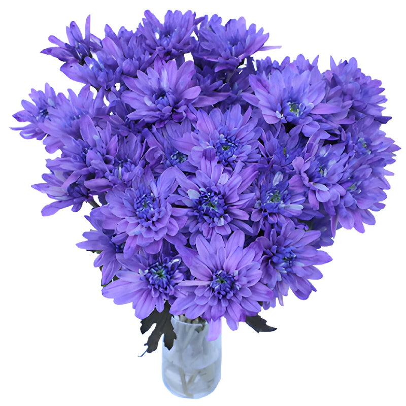Indigo Violet Tinted Flower