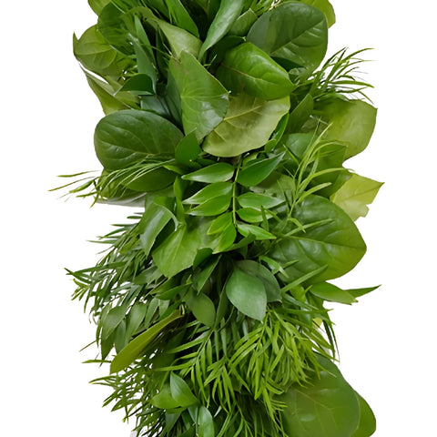 Israeli Ruscus, Salal and Weeping Podocarpus Greens Garland