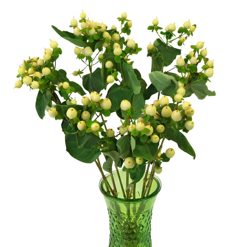Ivory Designer Hypericum Berries
