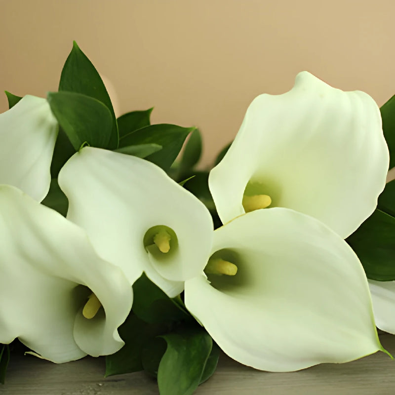 Ivory Mini Calla Lily Centerpieces