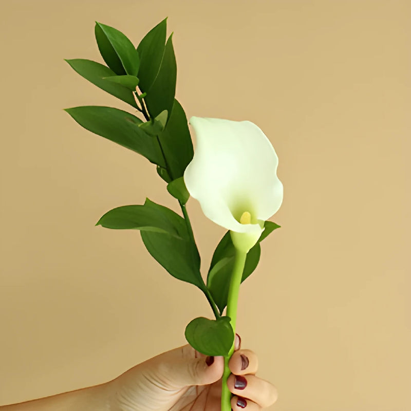 Ivory Mini Calla Lily Centerpieces