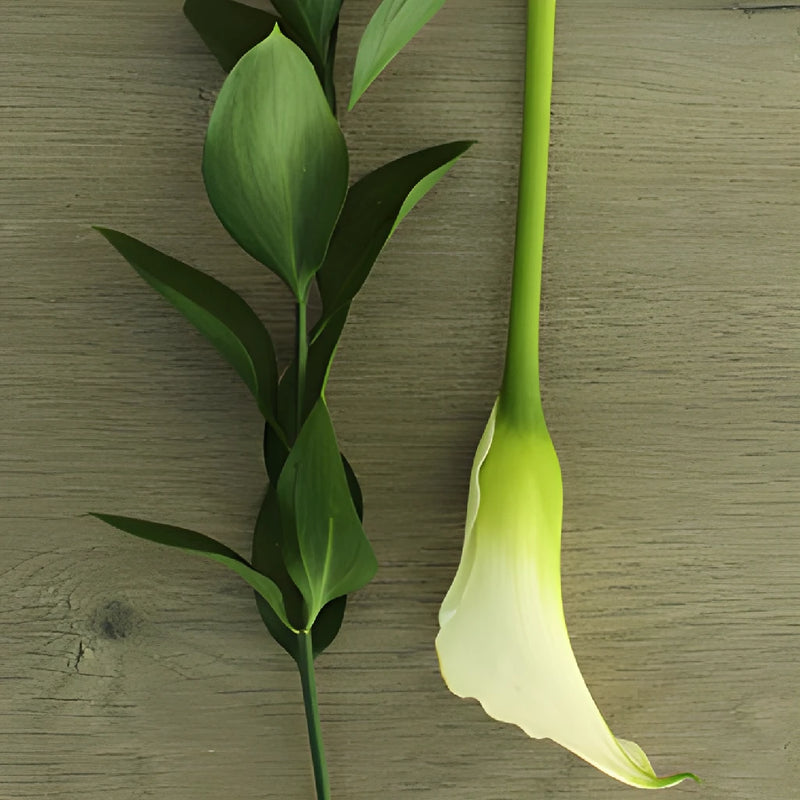 Ivory Mini Calla Lily Centerpieces