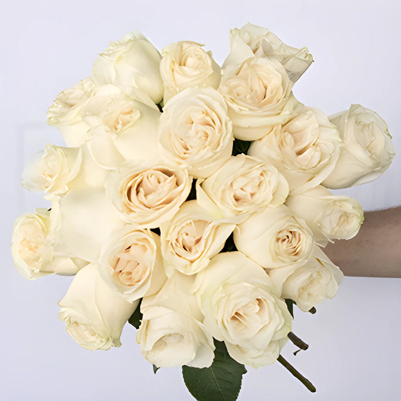 Ivory White Vendela Rose Bouquet