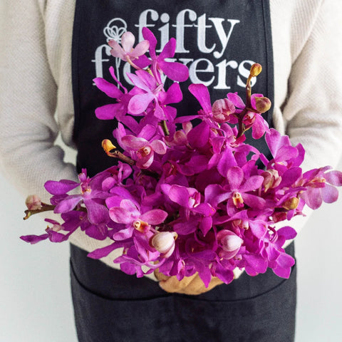 Jaguar Pink Mokara Orchids Apron - Image