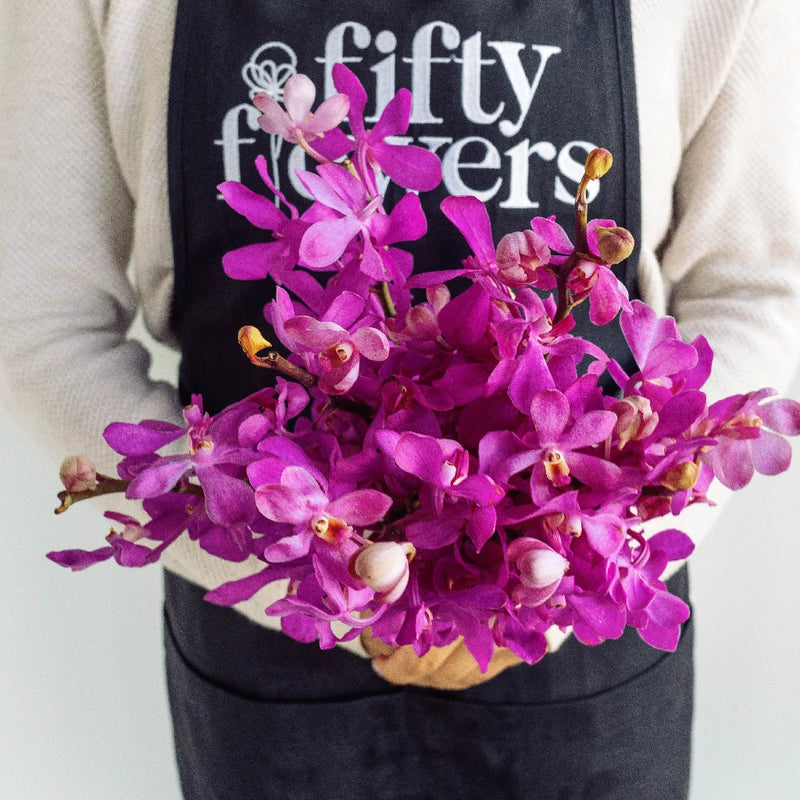 Jaguar Pink Mokara Orchids Apron - Image