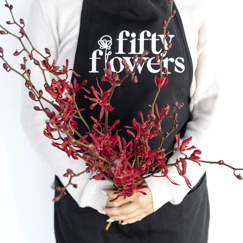 James Storie Red Aranthera Orchids Apron - Image
